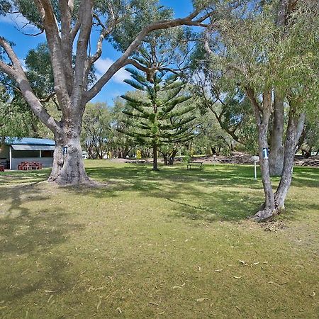 Acclaim Rose Gardens Beachside Holiday Park Albany Eksteriør billede
